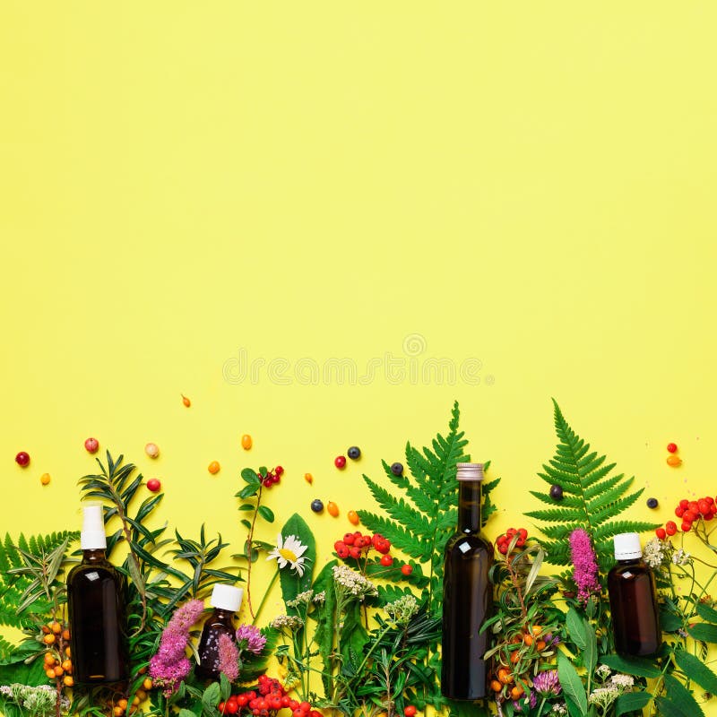 Download Essential Oils In Dark Glass Bottles And Healing Flowers Herbs On Yellow Background Holistic Medicine Approach Healthy Food Stock Photo Image Of Herbal Healing 133649328 Yellowimages Mockups