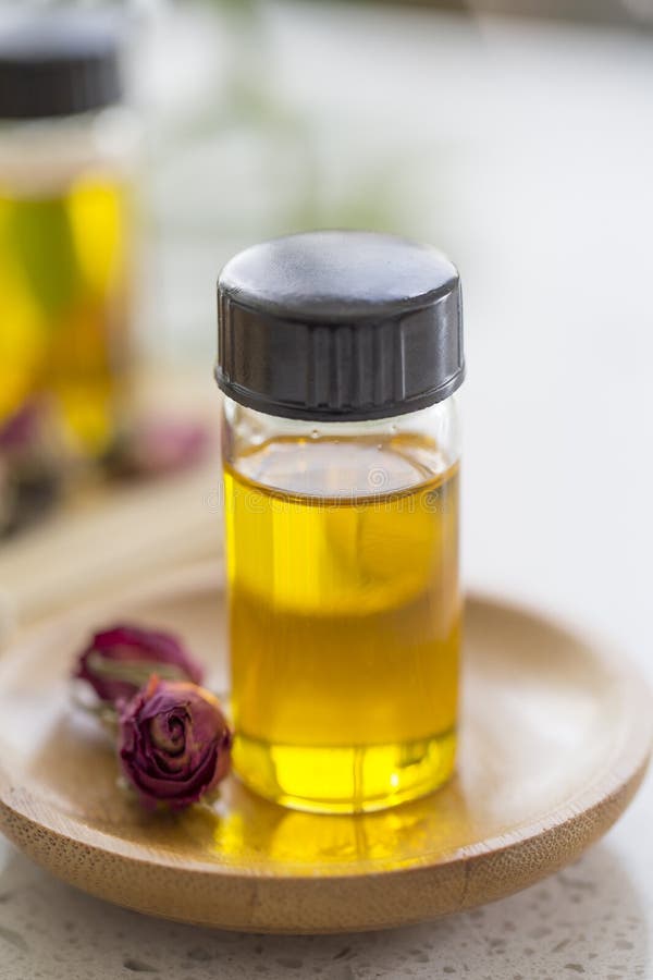 33,319 Rose Buds Photos Free & RoyaltyFree Stock Photos from Dreamstime