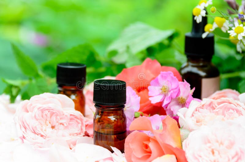 Essential oils with roses and herbs royalty free stock photos Essential oils with roses and herbs royalty free stock photos