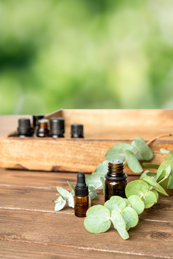 Essential Oil in a Small Glass Bottle with Eucalyptus Sprigs on a Wood