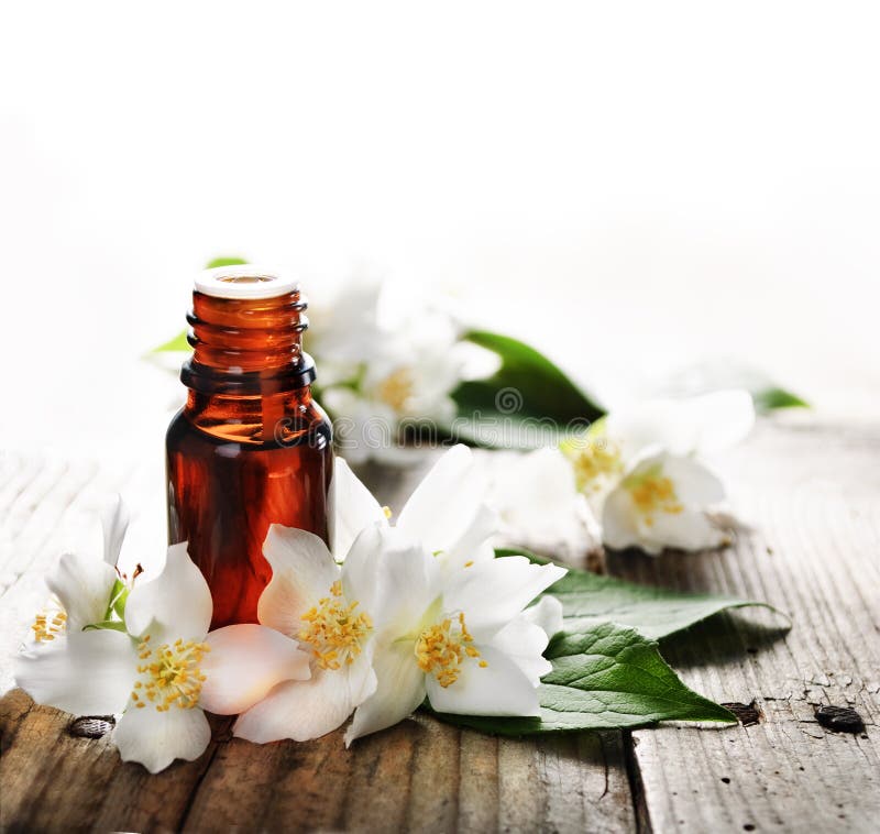 Essential oil with jasmine flower on wooden plank. Essential oil with jasmine flower on wooden plank