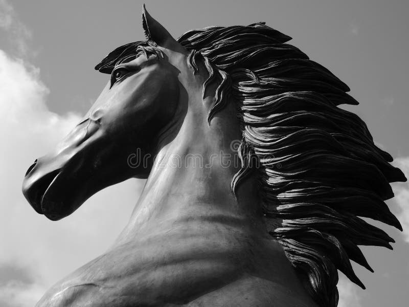 Estátua De Cavalo Em Frente a Um Céu Nublado Foto de Stock - Imagem de  animal, olho: 221252936