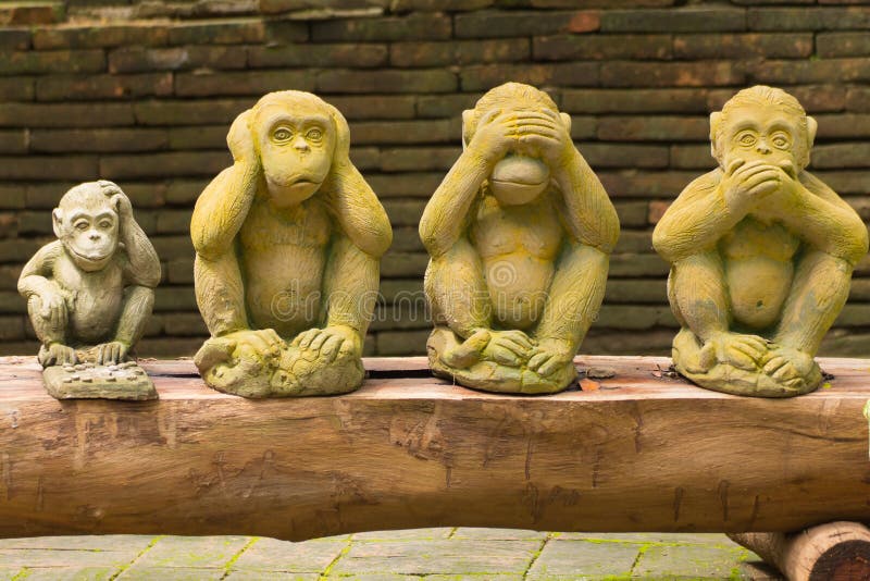 macacos fofos vivem nos templos da tailândia. 15935604 Foto de
