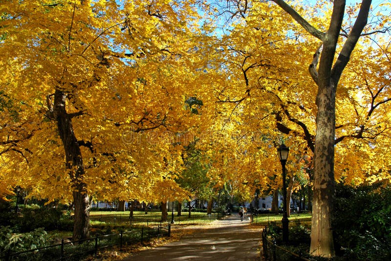 Estación de Madison Square Park During Fall imágenes de archivo libres de regalías Estación de Madison Square Park During Fall imágenes de archivo libres de regalías