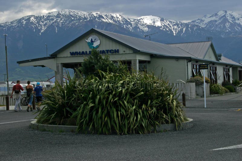 Estación del reloj de la ballena en Kaikoura, Nueva Zelanda