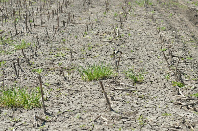 Estación seca foto de archivo. Imagen de detalles, seco 33678906