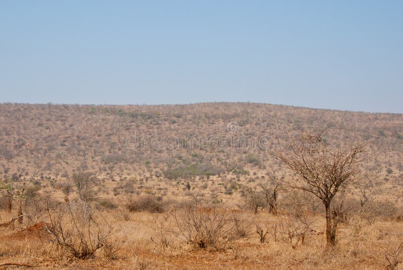 Estación seca foto de archivo. Imagen de ambiente, paisaje 52436458