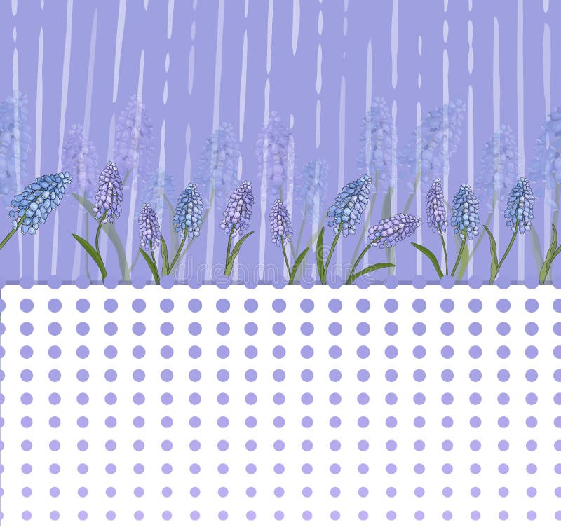 Estampado de flores con flores de la lila y una tira de círculos ópticos Vector libre illustration Estampado de flores con flores de la lila y una tira de círculos ópticos Vector libre illustration