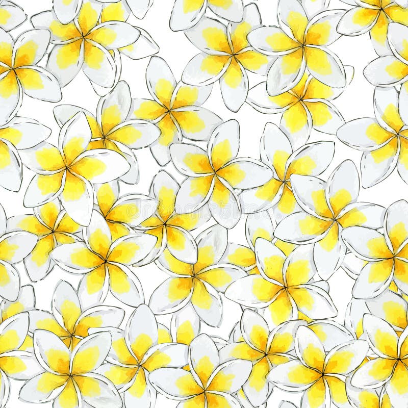 Estampado de plores inconsútil de la acuarela Estampado de flores del Plumeria libre illustration Estampado de plores inconsútil de la acuarela Estampado de flores del Plumeria libre illustration