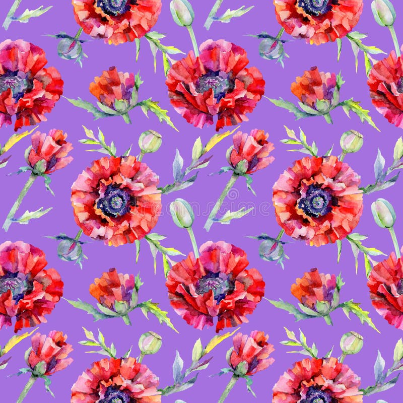 Download Estampado De Plores De La Amapola Del Wildflower En Un Estilo De La Acuarela Stock de ilustración - Ilustración de opio, flor: 100527606
