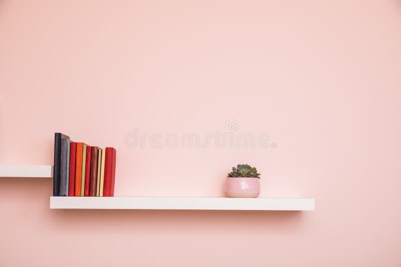 Estantería Blanca Con Libros Y Planta En Maceta En Una Pared Rosa Pálido  Imagen de archivo - Imagen de espacio, color: 212161709