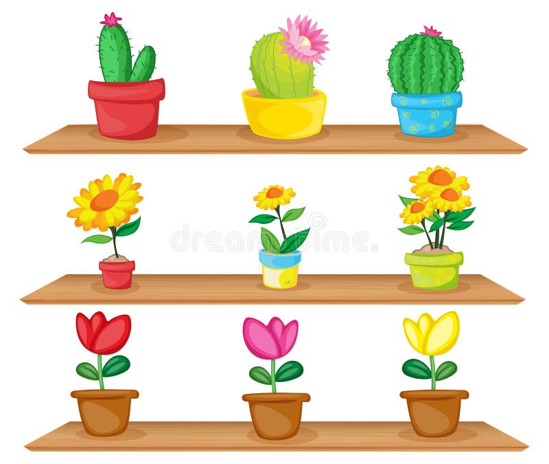 Estantes De Madera Con Las Plantas Ornamentales Ilustración del Vector - Ilustración de historieta, imagen: 30697828 Estantes De Madera Con Las Plantas Ornamentales Ilustración del Vector - Ilustración de historieta, imagen: 30697828