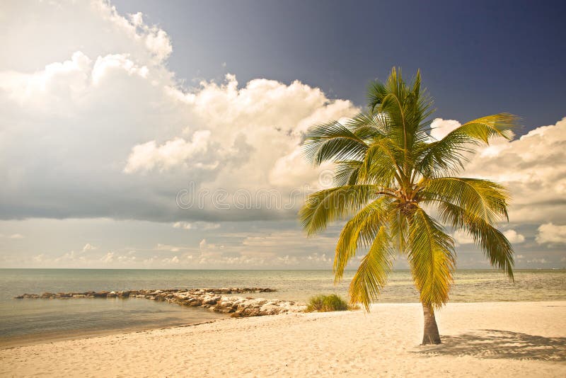 Estate ad un paradiso tropicale in Florida Key West, U.S.A.