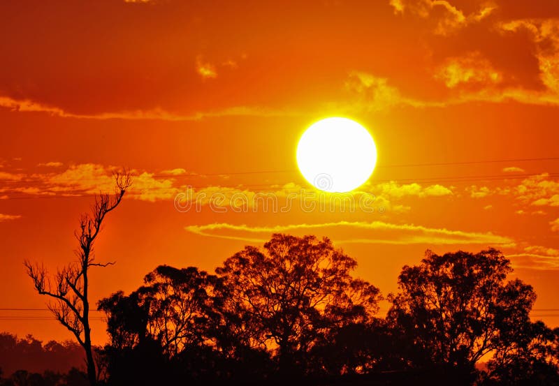Estate australiana di entroterra del sole bruciante caldo