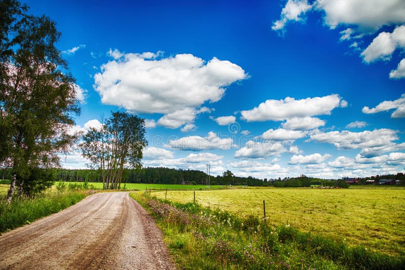 Estate con cielo blu in Varmland fotografie stock Estate con cielo blu in Varmland fotografie stock