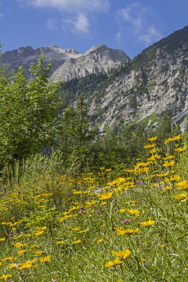 Estate nelle montagne Soiern immagine stock libera da diritti