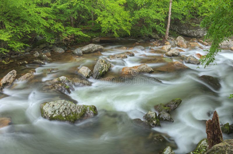 Estate, Little River Rapids immagine stock