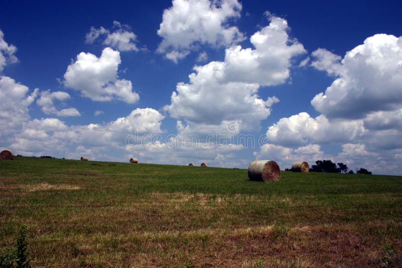 Estate sull'azienda agricola fotografie stock