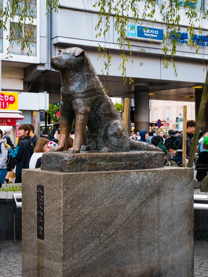 Monumento Del Perro De Hachiko En Tokio, Japón Foto editorial Imagen