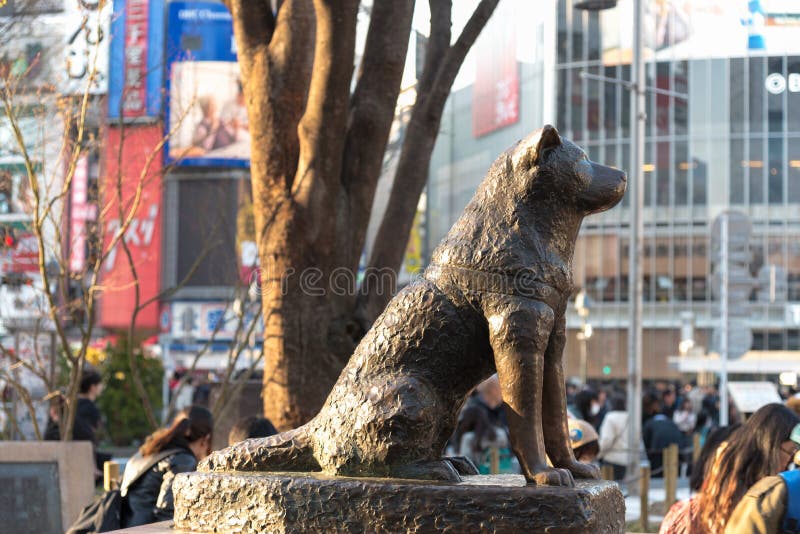 Estatua conmemorativa de Hachiko en Shibuya, Tokio imagen de archivo libre de regalías Estatua conmemorativa de Hachiko en Shibuya, Tokio imagen de archivo libre de regalías