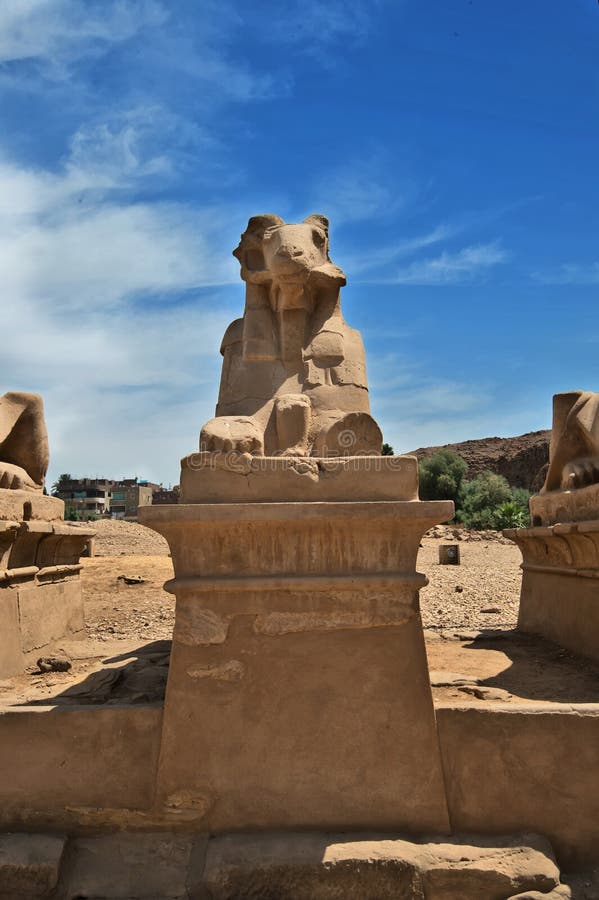 Estatua de Egipto antiguo de la esfinge en templo del karnak de Luxor fotografía de archivo libre de regalías Estatua de Egipto antiguo de la esfinge en templo del karnak de Luxor fotografía de archivo libre de regalías