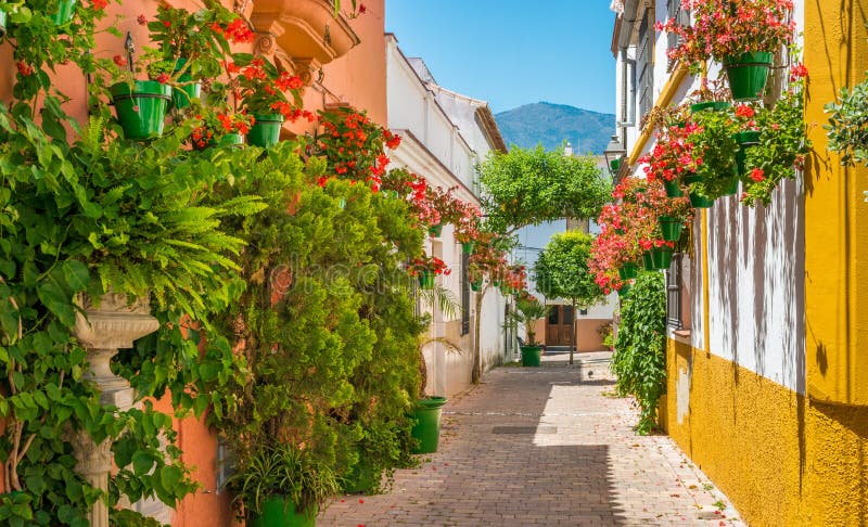 The beautiful Estepona, little and flowery town in the province of Malaga, Spain.