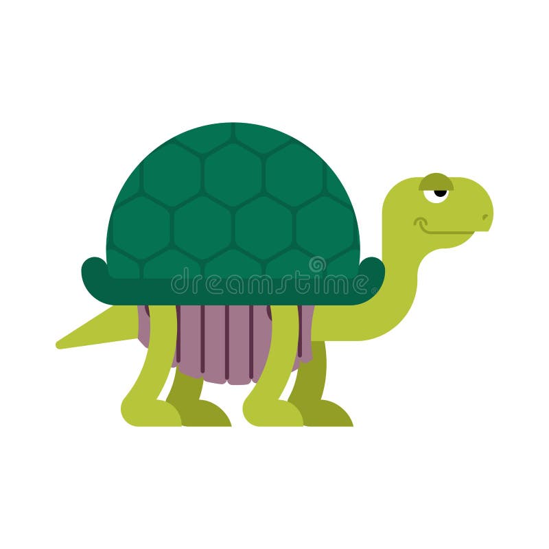 Estilo dos desenhos animados da tartaruga isolado Ilustração do vetor da tartaruga ilustração stock Estilo dos desenhos animados da tartaruga isolado Ilustração do vetor da tartaruga ilustração stock