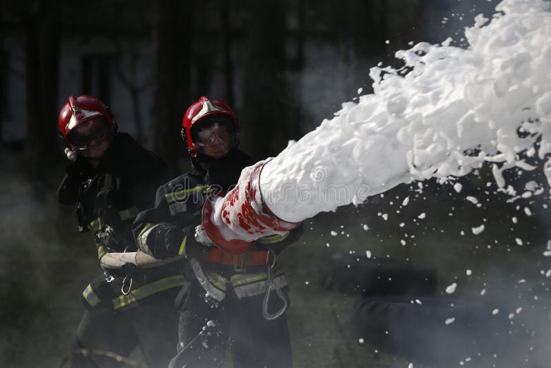Estingua l'incendio forestale immagini stock Estingua l'incendio forestale immagini stock