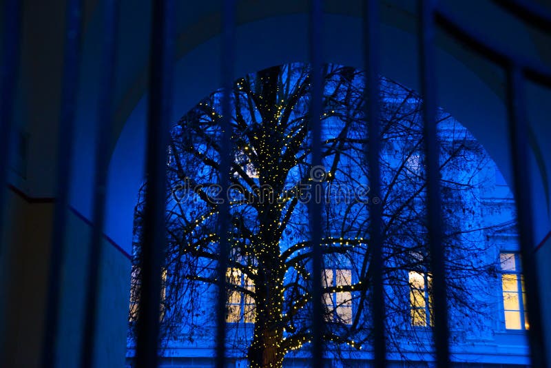 Estländskt Tallinn: Blått landskap för härlig natt med staket- och trädkonturn Det gula ljuset från fönstret arkivbild Estländskt Tallinn: Blått landskap för härlig natt med staket- och trädkonturn Det gula ljuset från fönstret arkivbild