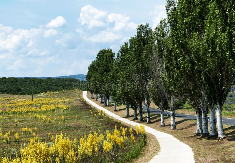 Estrada ciclável na Península de Tihany fotografia de stock