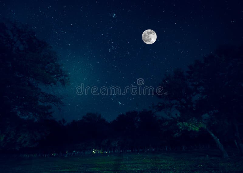 Estrada da montanha através da floresta em uma noite da Lua cheia Paisagem cênico da noite da obscuridade - céu azul com lua azer