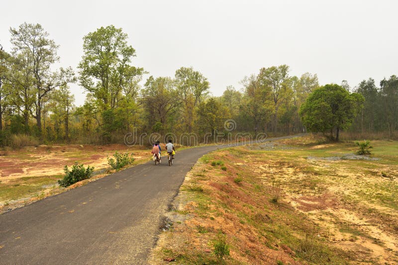 Estrada de enrolamento do cascalho através da floresta temperada em Jhargram, bengal ocidental, Índia foto de stock Estrada de enrolamento do cascalho através da floresta temperada em Jhargram, bengal ocidental, Índia foto de stock