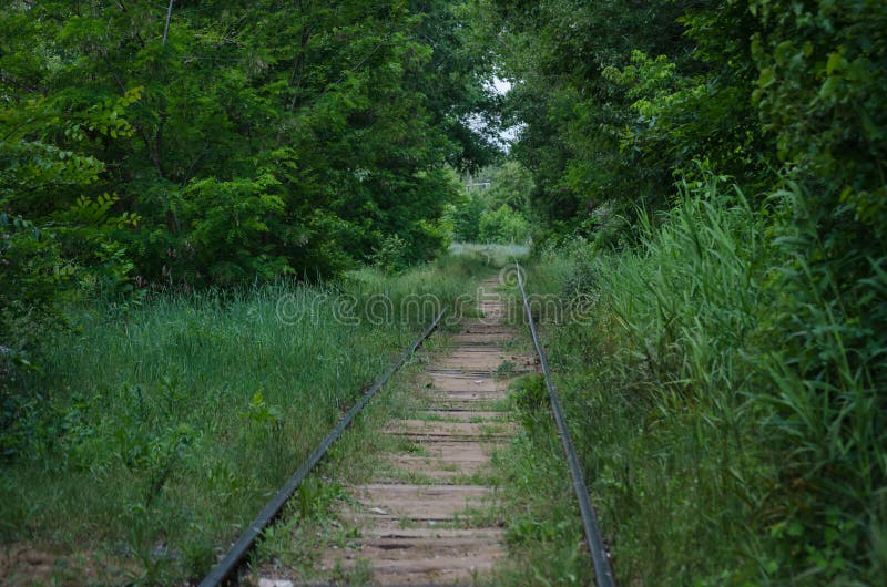 Estrada de ferro abandonada Um local uma vez que-vívido coberto de vegetação com a grama e as árvores deteriora??o fotografia de stock Estrada de ferro abandonada Um local uma vez que-vívido coberto de vegetação com a grama e as árvores deteriora??o fotografia de stock