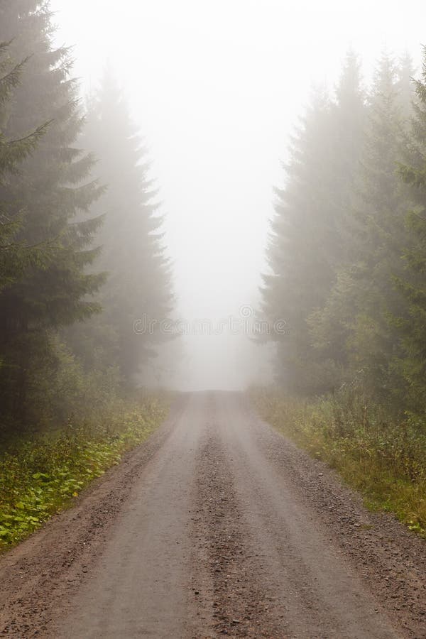 Gravel road in the foggy forest. Gravel road in the foggy forest