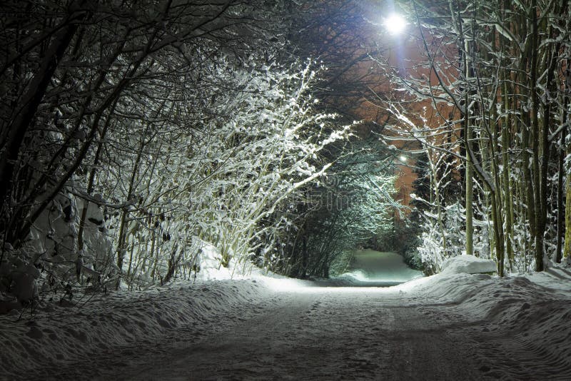 Winter road at night lit by street lamp. Winter road at night lit by street lamp.