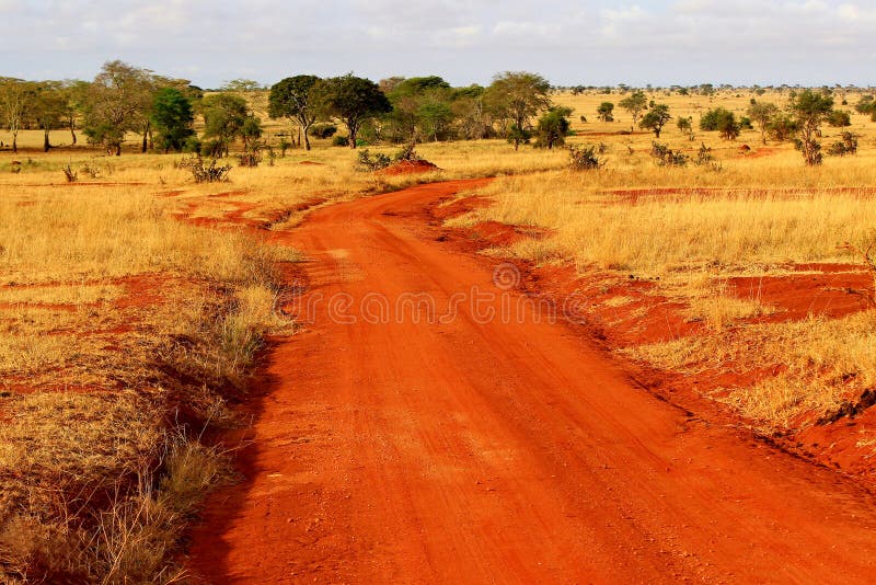 Estrada empoeirada à terra vermelha do safari fotografia de stock Estrada empoeirada à terra vermelha do safari fotografia de stock