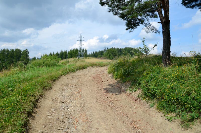 Estrada na floresta imagem de stock