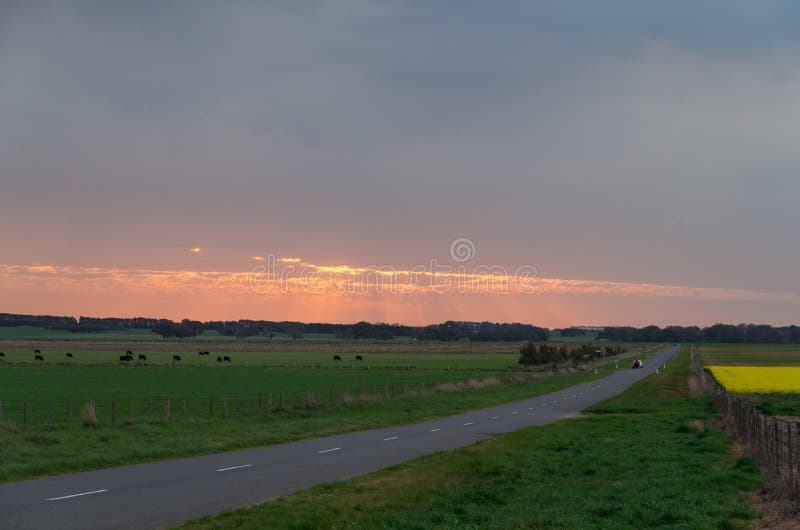 Estrada rural australiana perto de Ballarat no por do sol imagens de stock Estrada rural australiana perto de Ballarat no por do sol imagens de stock