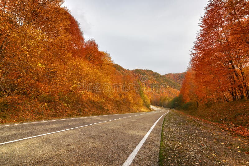 Estrada rural vazia em Arkhyz imagens de stock