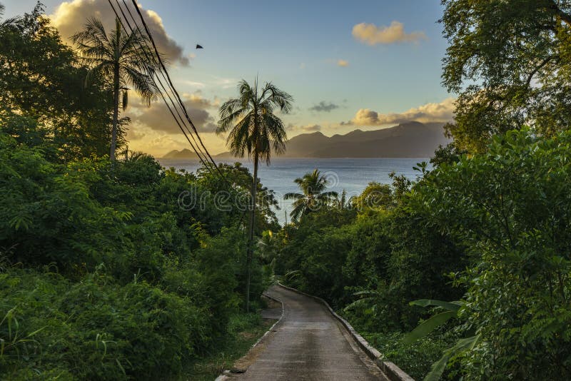 Estrada só na selva, seychelles 1 imagem de stock Estrada só na selva, seychelles 1 imagem de stock