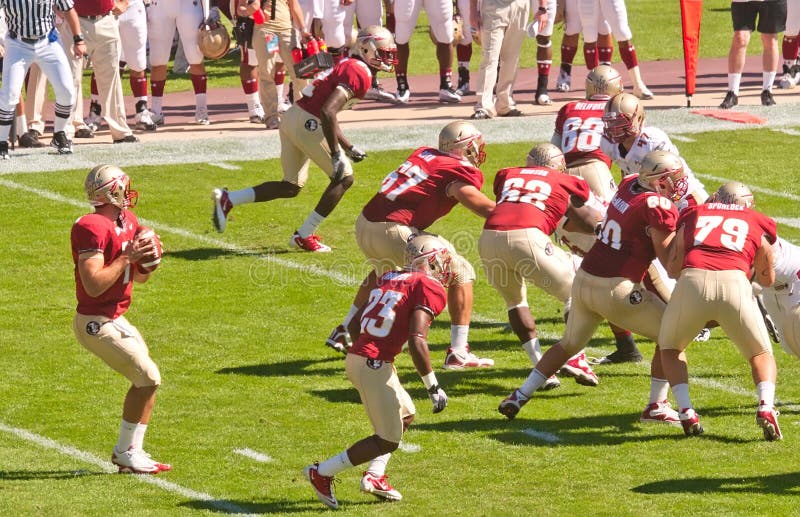 Estratego dos Seminoles do estado de Florida na ação imagens de stock Estratego dos Seminoles do estado de Florida na ação imagens de stock