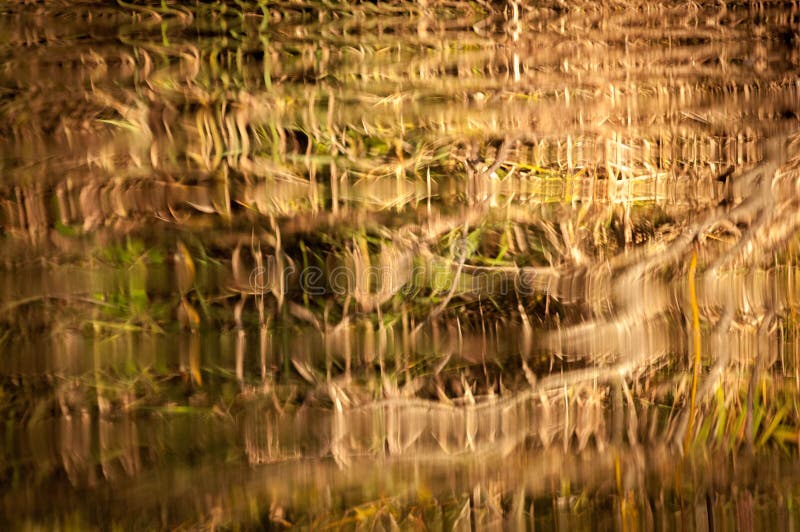 Estratto della superficie dell'acqua fotografia stock Estratto della superficie dell'acqua fotografia stock