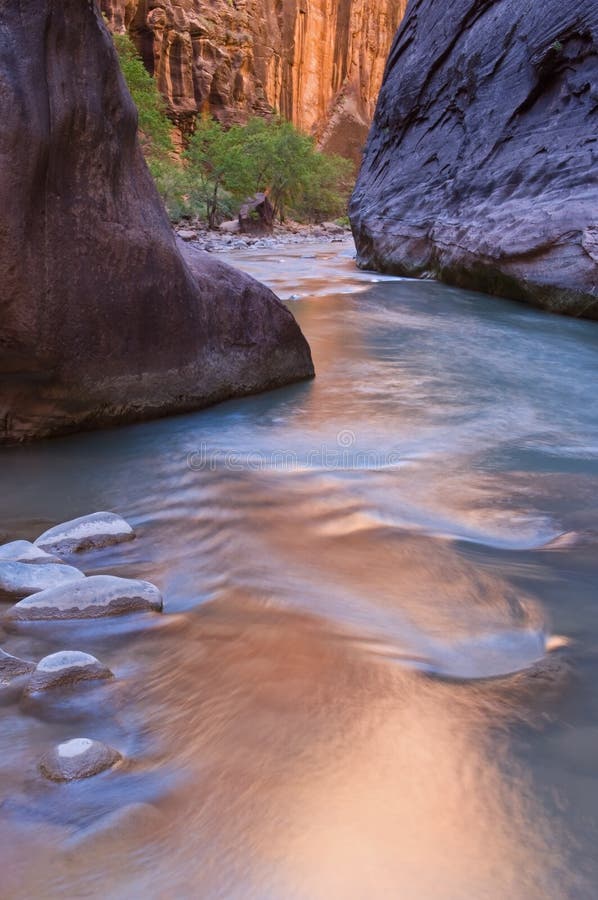 Gargantas do Rio Virgin imagens de stock
