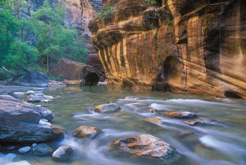 Gargantas do Rio Virgin imagens de stock