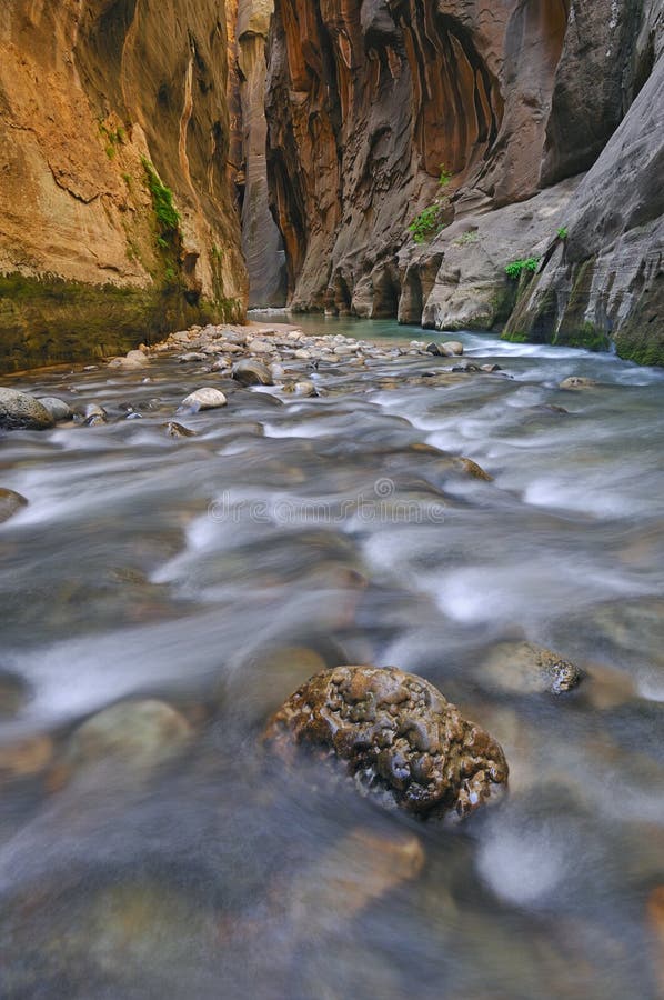 Gargantas do Rio Virgin foto de stock royalty free