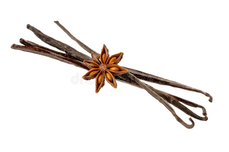 Estrela da baunilha e do anis imagem de stock Estrela da baunilha e do anis imagem de stock