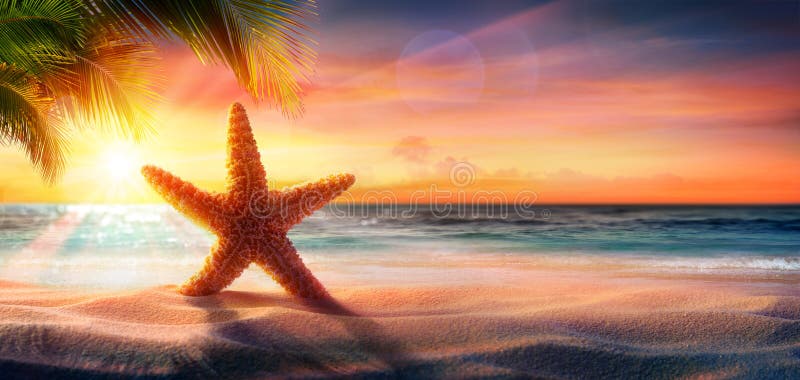 Estrela do mar na areia na praia tropical imagem de stock royalty free Estrela do mar na areia na praia tropical imagem de stock royalty free