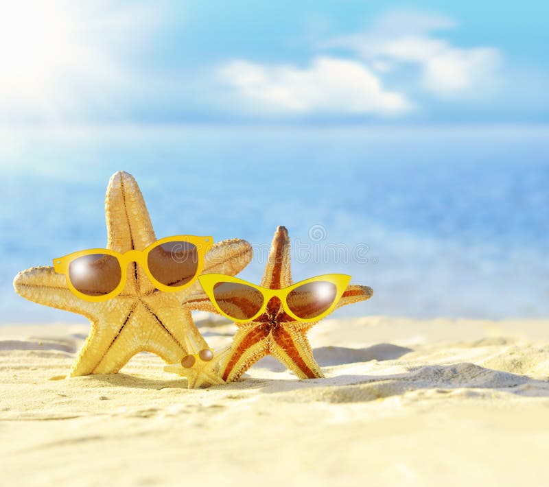 Estrellas de mar en gafas de sol en la costa Playa imagen de archivo libre de regalías Estrellas de mar en gafas de sol en la costa Playa imagen de archivo libre de regalías