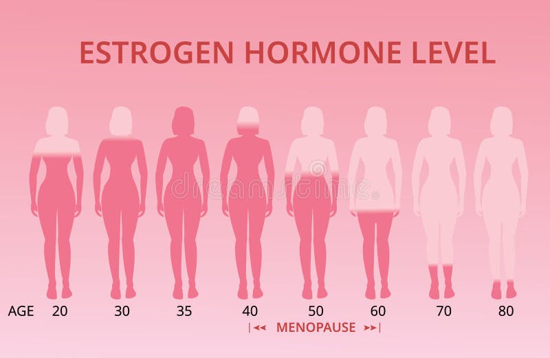 Estrogen Levels Chart