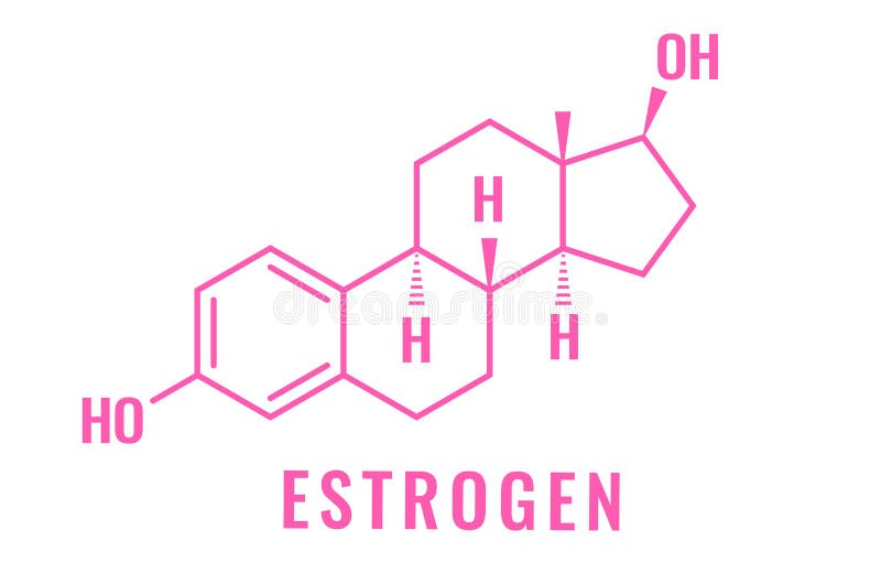 Estrogen Hormone Structural Chemical Formula Stock Illustration